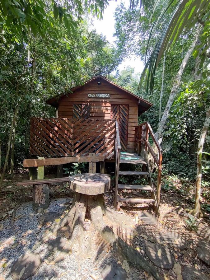 Hotel Refugio Samauma Manaus Zewnętrze zdjęcie