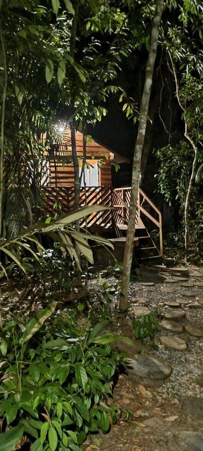 Hotel Refugio Samauma Manaus Zewnętrze zdjęcie