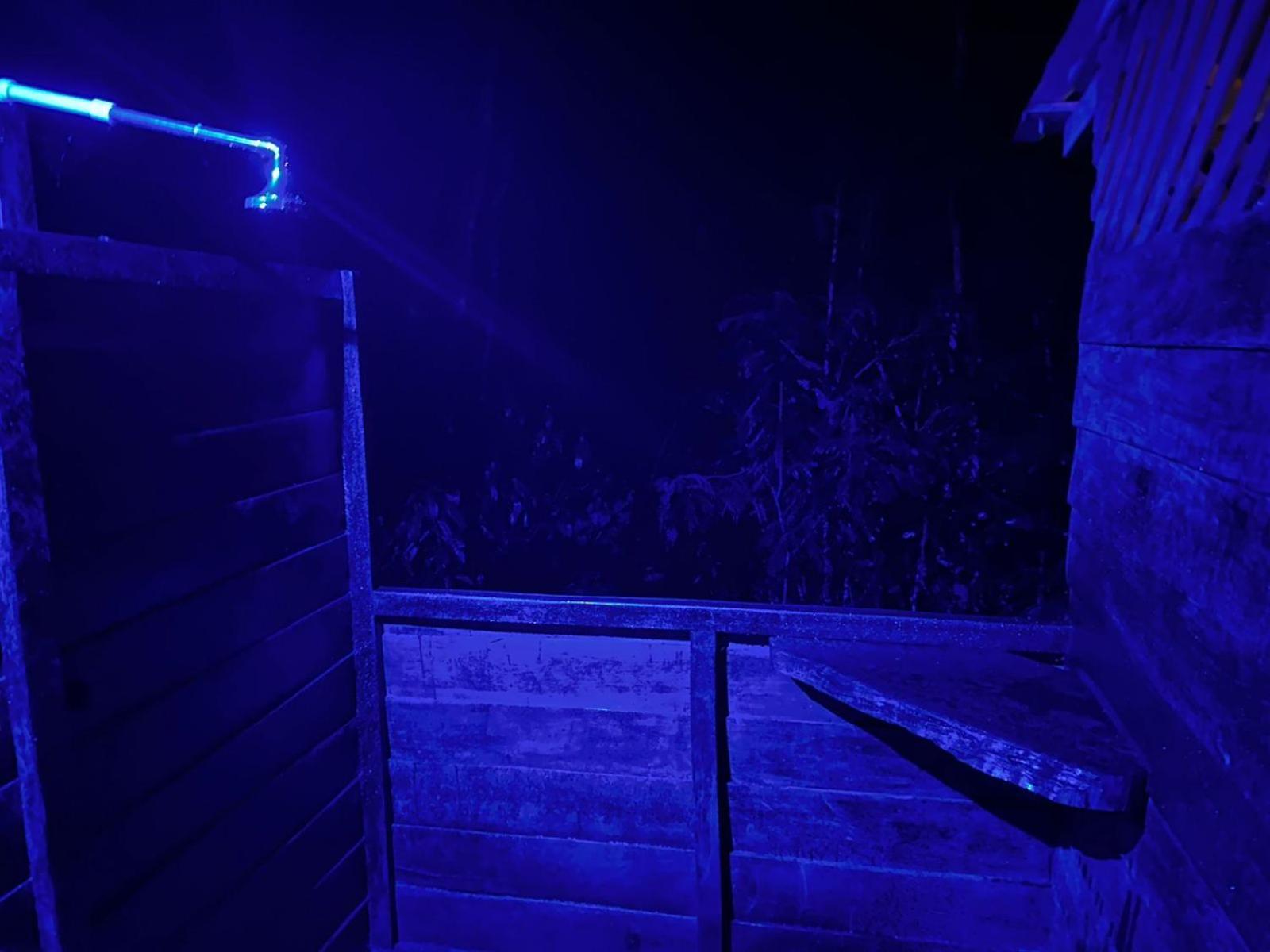 Hotel Refugio Samauma Manaus Zewnętrze zdjęcie