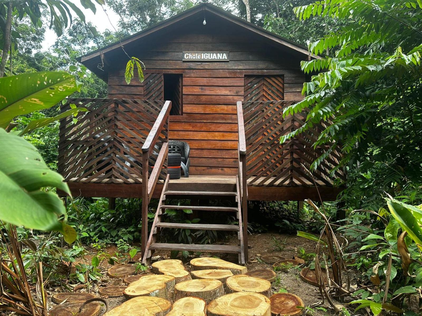 Hotel Refugio Samauma Manaus Zewnętrze zdjęcie