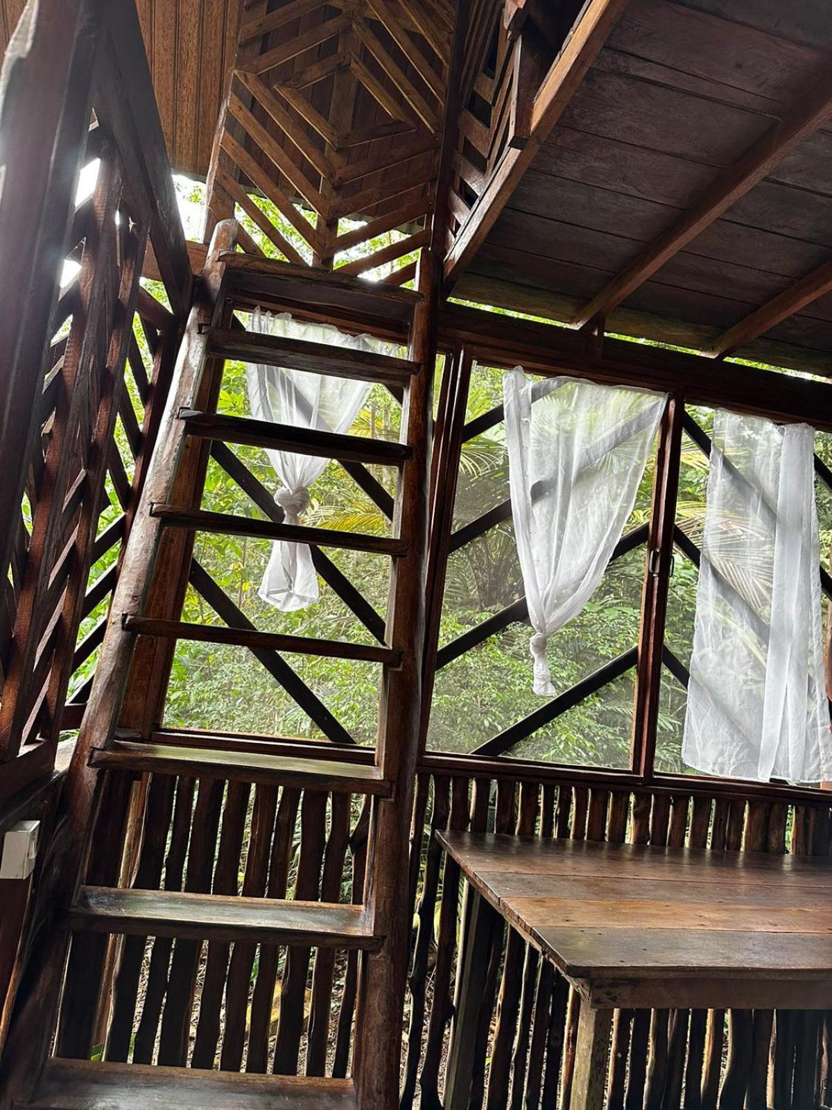 Hotel Refugio Samauma Manaus Zewnętrze zdjęcie
